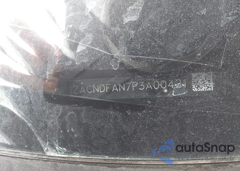 ZACNDFAN7P3A00421